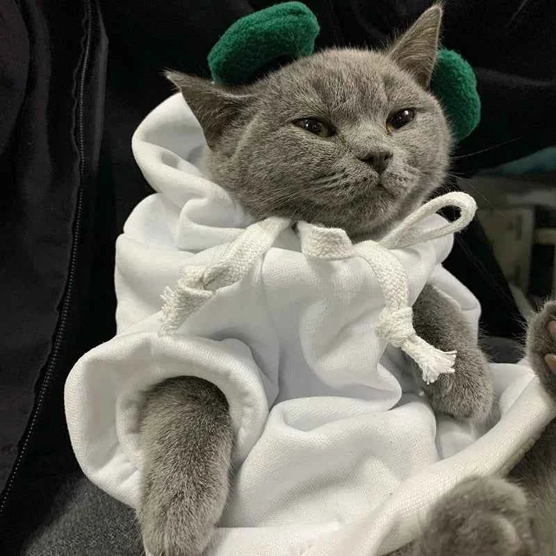 Winter Pet Hoodie Sweater Sports Cat Clothes for Cats Kitten Dog Pullovers Sweatshirt Fruit Animal Cosplay Pets Clothing Costume