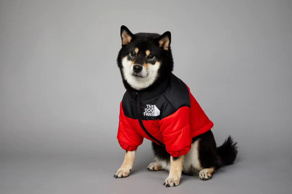 Winter Dog Down Jacket Vest - Warm Thick Clothes Coat for Small, Medium Dogs & French Bulldog Puppy