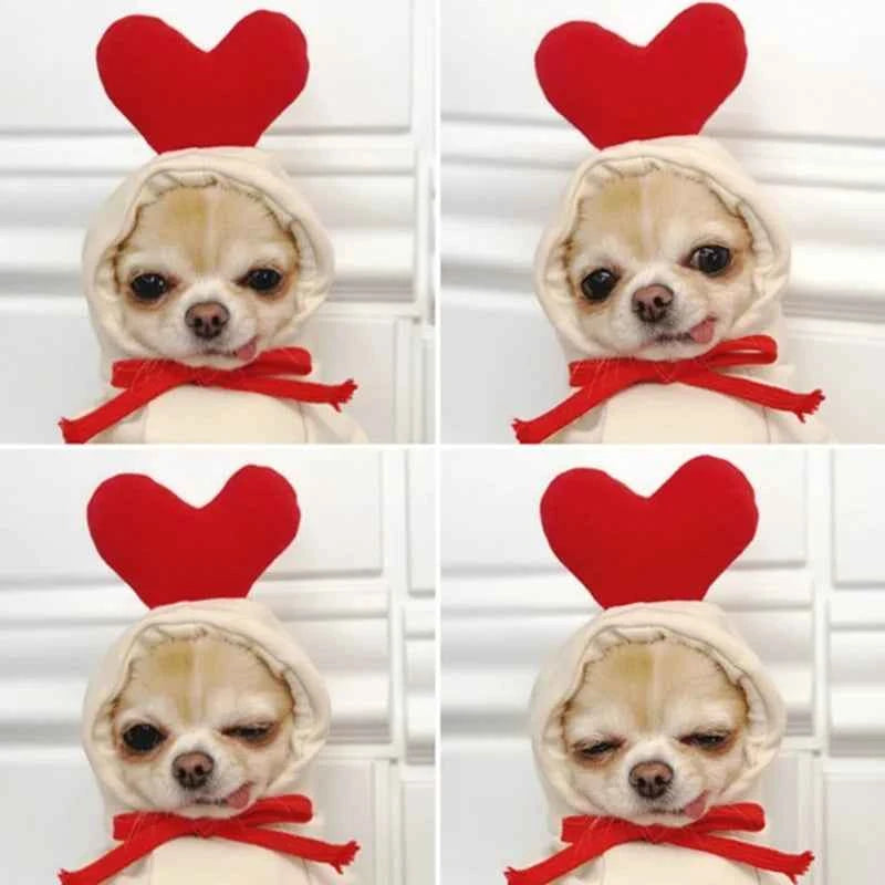 Winter Pet Hoodie Sweater Sports Cat Clothes for Cats Kitten Dog Pullovers Sweatshirt Fruit Animal Cosplay Pets Clothing Costume