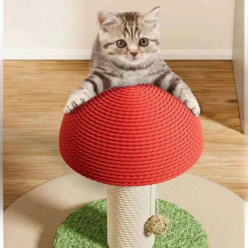 Cute Cat Scratcher Collection | Cozy Kawaii