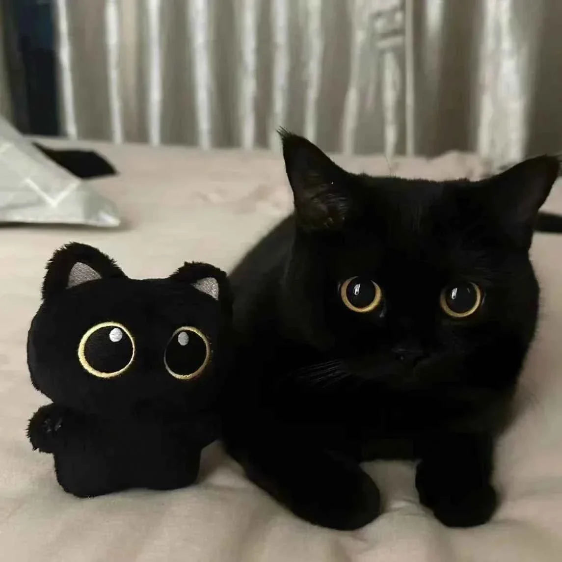 cute kawaii cat plush toys stuffed animals
