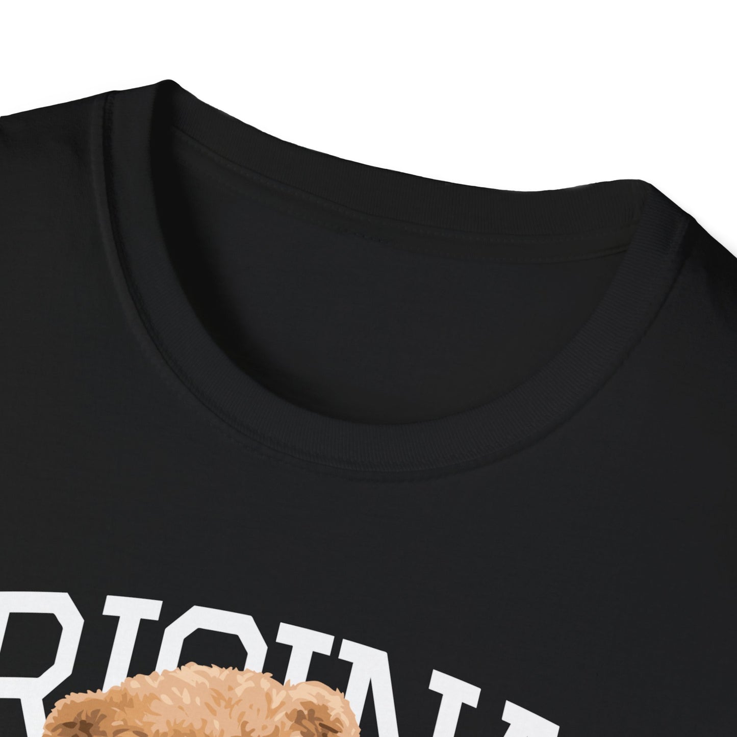 Original Streetwear Unisex Softstyle T-Shirt, Casual Graphic Tee, Trendy Streetwear Shirt, Gift for Him/Her, Everyday Wear, Fashion Gift