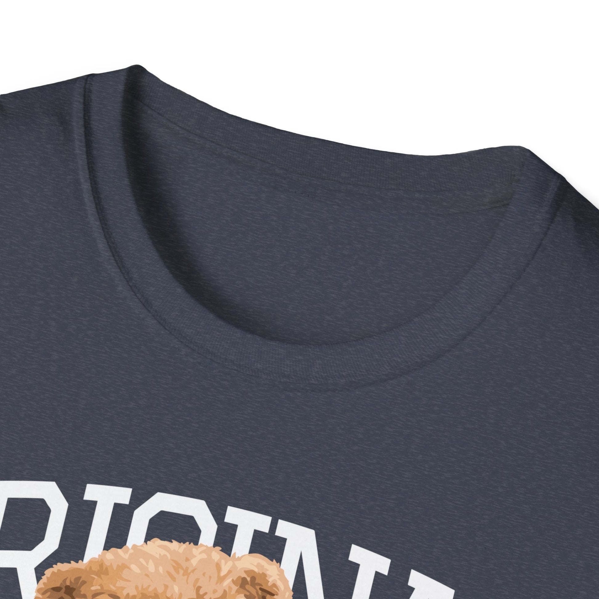 Original Streetwear Unisex Softstyle T-Shirt, Casual Graphic Tee, Trendy Streetwear Shirt, Gift for Him/Her, Everyday Wear, Fashion Gift