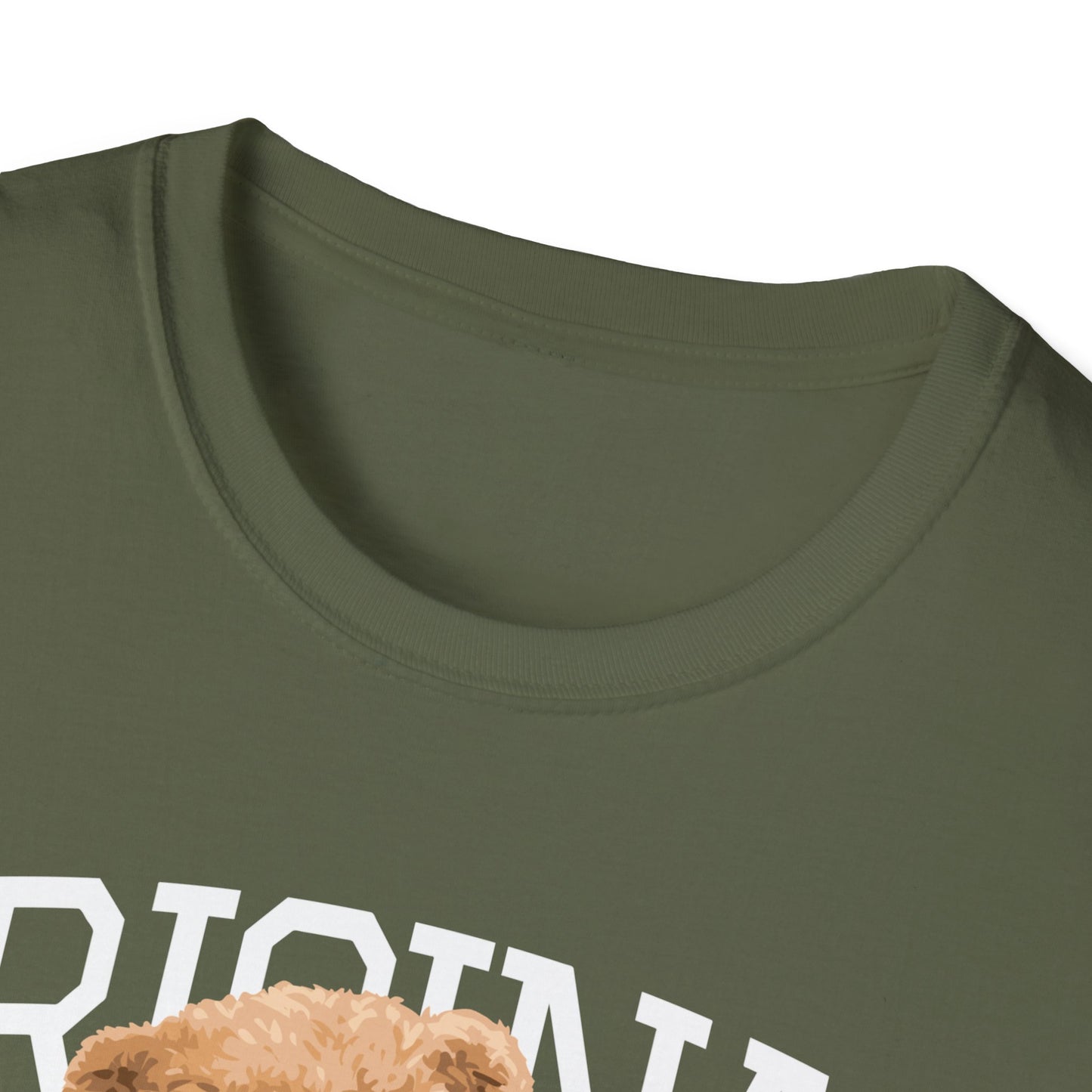 Original Streetwear Unisex Softstyle T-Shirt, Casual Graphic Tee, Trendy Streetwear Shirt, Gift for Him/Her, Everyday Wear, Fashion Gift