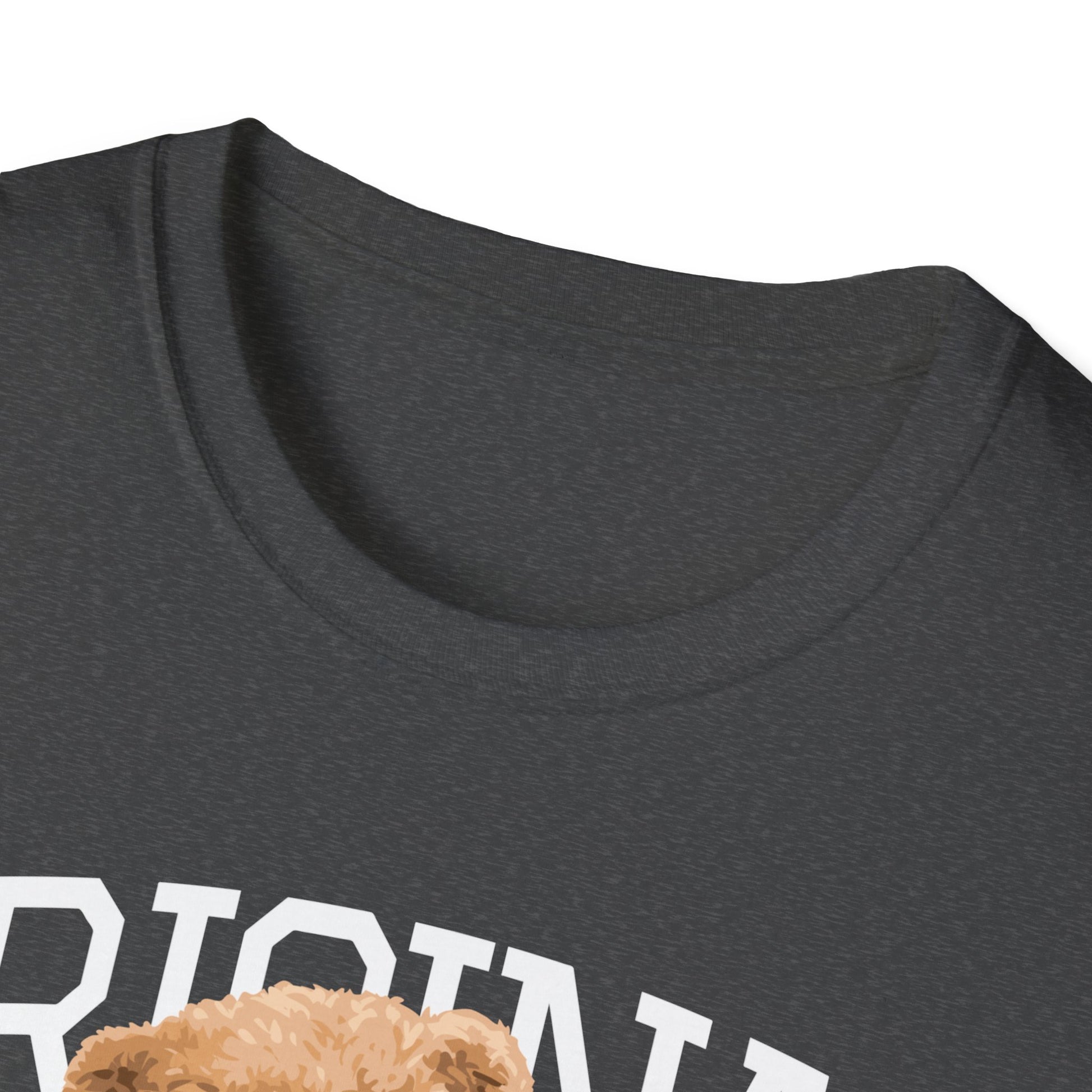 Original Streetwear Unisex Softstyle T-Shirt, Casual Graphic Tee, Trendy Streetwear Shirt, Gift for Him/Her, Everyday Wear, Fashion Gift