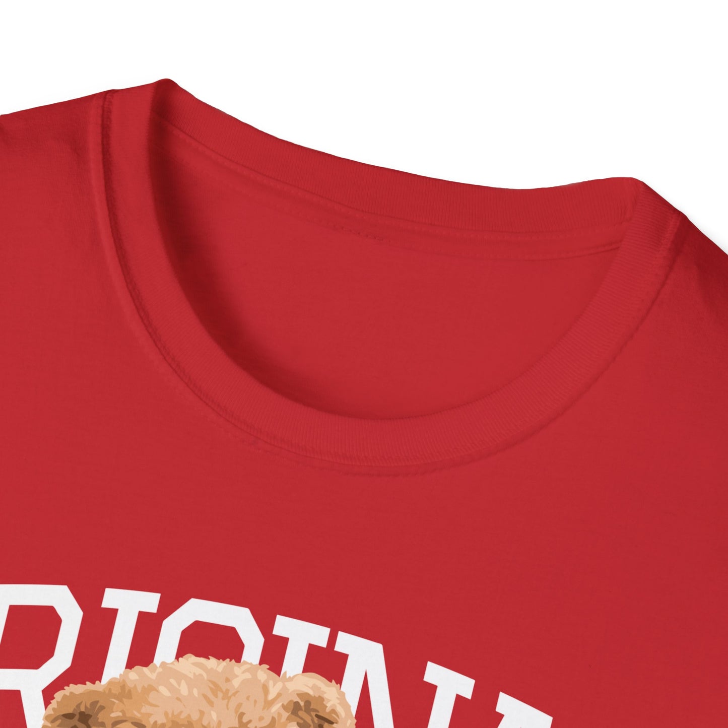 Original Streetwear Unisex Softstyle T-Shirt, Casual Graphic Tee, Trendy Streetwear Shirt, Gift for Him/Her, Everyday Wear, Fashion Gift