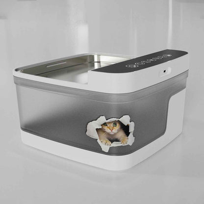 Pet Water Dispenser B