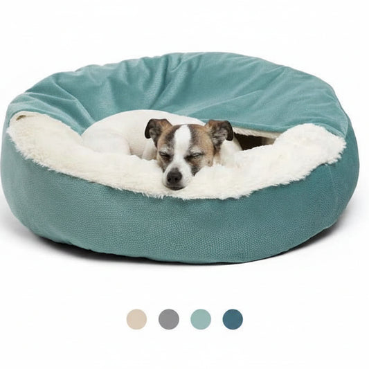 A small dog rests inside a round dog bed with a teal exterior and white sherpa lining, shown on a white background
