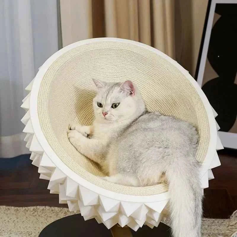 Cat sitting in a decorative pet bed with ruffled edges