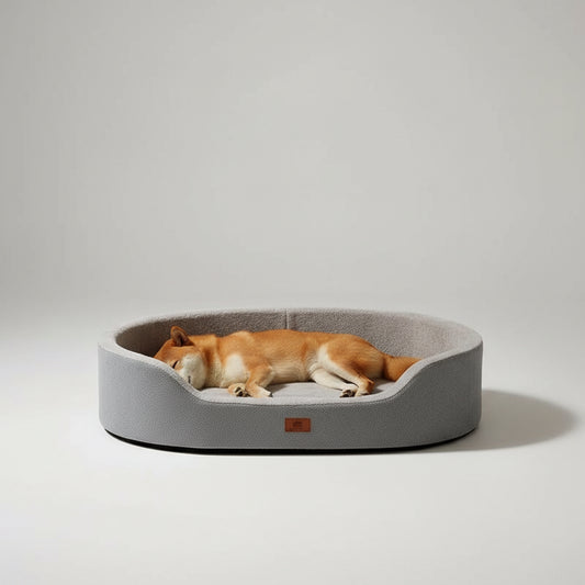Dog lying on a gray pet bed with a beige background