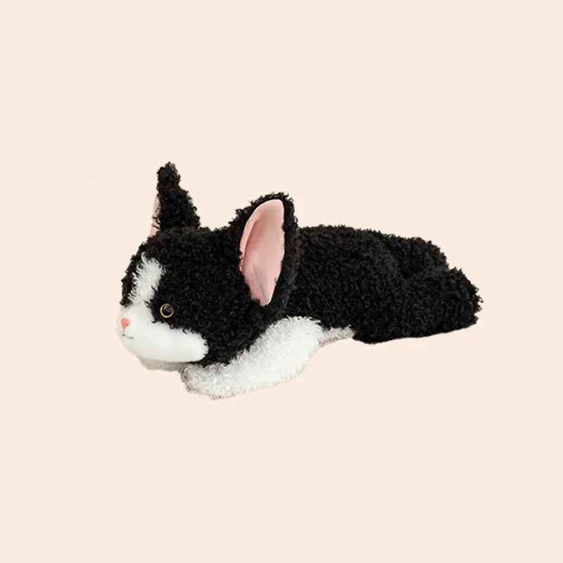 Kawaii Devon Rex Cat Plush Doll - Soft Realistic Lying Curly Kitten Stuffed Pillow and Gift, 3 Sizes M-40cm (15.7")