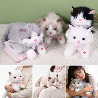 Kawaii Simulation Ragdoll Cat Plush Doll - Soft Lifelike Voiced Kitten Toy and Gift in 11 Colors, 40cm