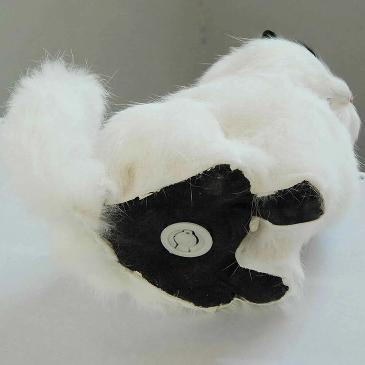 Kawaii Long-Haired Cat Plush with Sound