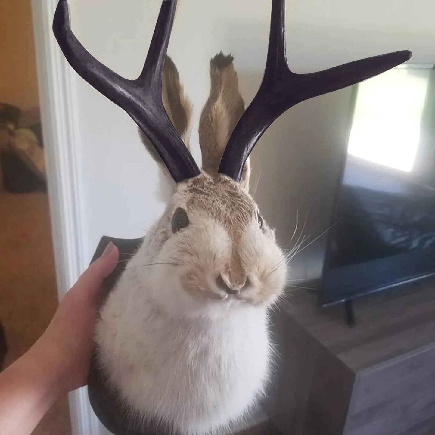 Faux Taxidermy Bunny Head Wall Mount – Resin Rabbit Jackalope Wall Decor