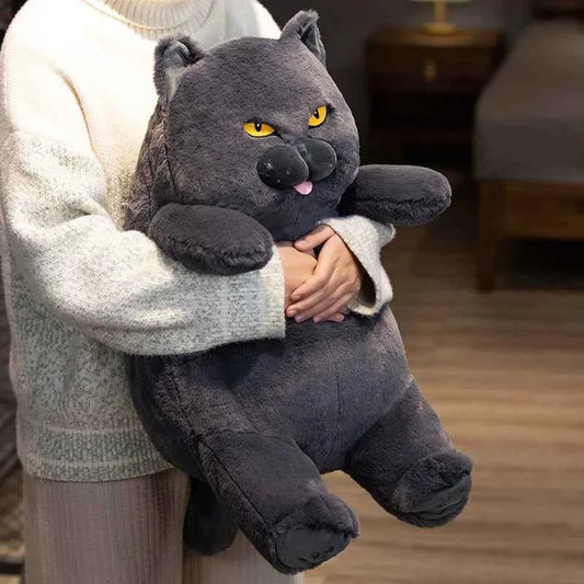 Kawaii British Shorthair Cat Plush Toy – Chubby Stuffed Cat Hug Pillow