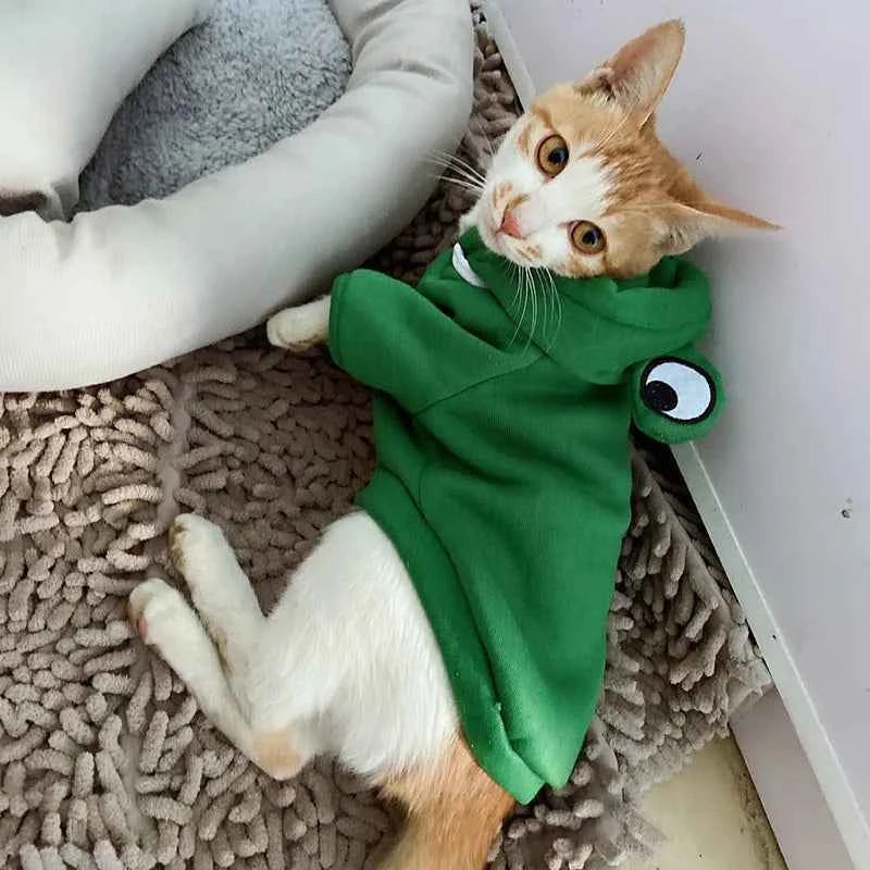 Winter Pet Hoodie Sweater Sports Cat Clothes for Cats Kitten Dog Pullovers Sweatshirt Fruit Animal Cosplay Pets Clothing Costume