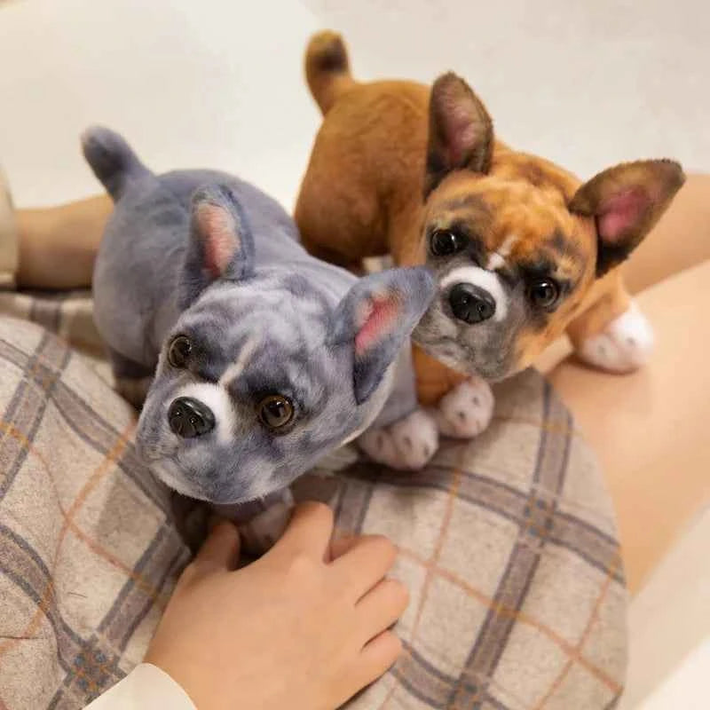 Realistic French Bulldog Plush Toy – Simulation Frenchie Dog Ornament & Collectible Decor