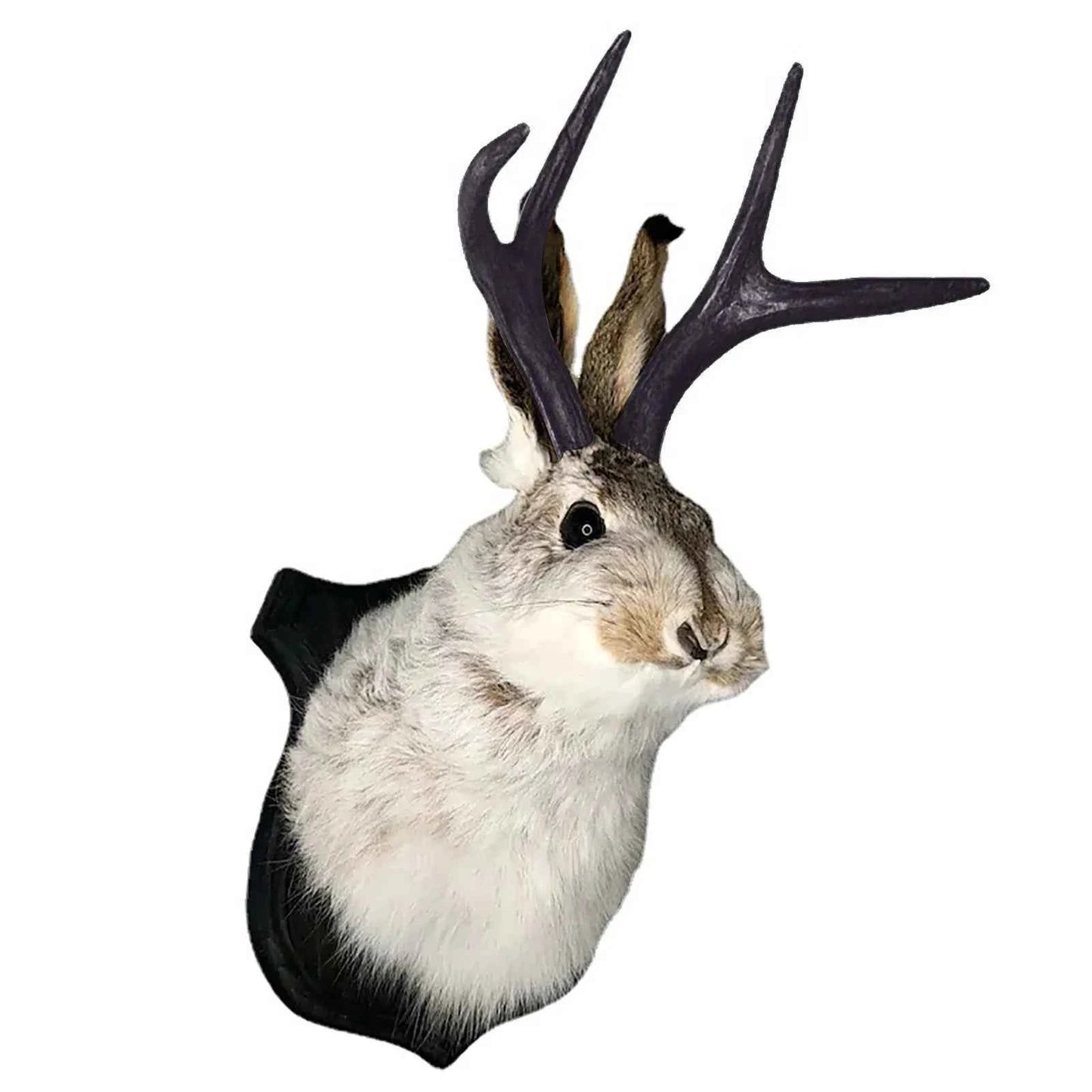 Faux Taxidermy Bunny Head Wall Mount – Resin Rabbit Jackalope Wall Decor