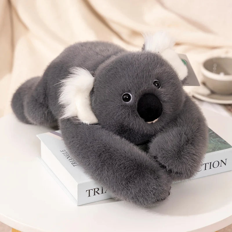 Kawaii Long-Arm Forest Animal Plush – Raccoon, Dinosaur, Sloth, Panda, Koala & Bear Koala
