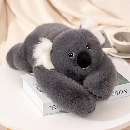 Kawaii Long-Arm Forest Animal Plush – Raccoon, Dinosaur, Sloth, Panda, Koala & Bear Koala