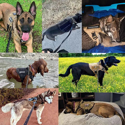 Heavy-Duty No-Pull Dog Harness and Leash Set - Tactical Training Vest for Medium & Large Dogs (German Shepherd, Malinois)