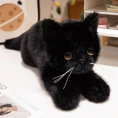 Lifelike Cat Plush Toy – Premium Fluffy Kitten Stuffed Animal (8 Styles) Black