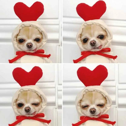 Winter Pet Hoodie Sweater Sports Cat Clothes for Cats Kitten Dog Pullovers Sweatshirt Fruit Animal Cosplay Pets Clothing Costume